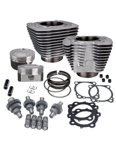 S&S Hooligan 1250 kit 1200XL00-up Silvr