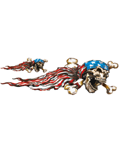 USA Skull right 3"x10"