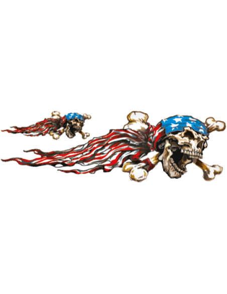 USA Skull right 3"x10"