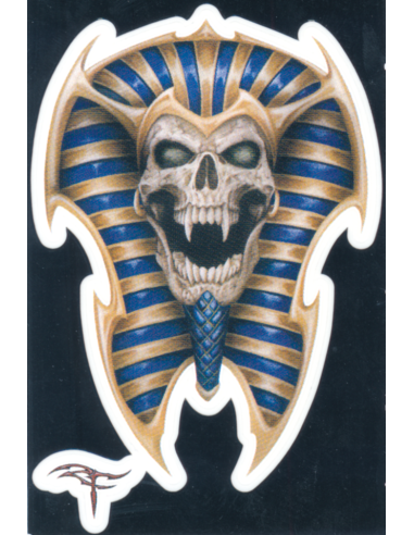 Skull of Tut 3"x4"