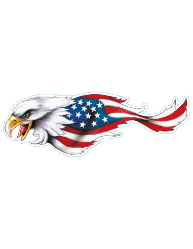 USA Eagle center 4.5"x11.5"