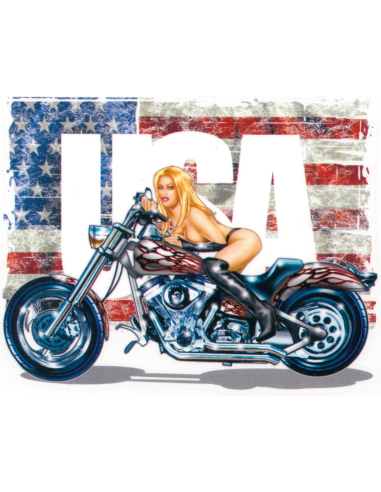 Miss Ride USA 5.5"x4"