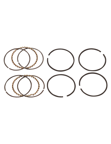 Hastings Pistonrings 2Cyl. STD TC07-17