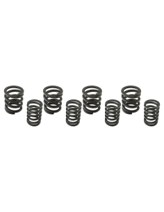 Valve spring kit XL57-e83
