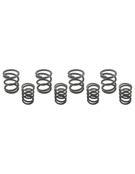 Valve spring kit BT66-84