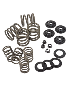 Complete Valve spring kit OHVBT36-47