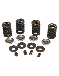 V-Thunder Spring kit BT84-03 chrmoly