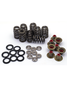 ME17-up Beehive Valve Spring Kit Titan R