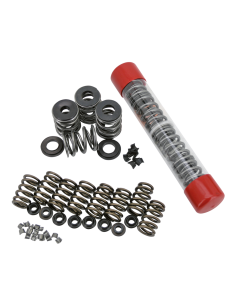 Valve Spring Kit Pan/Shovelheads .850  1 2