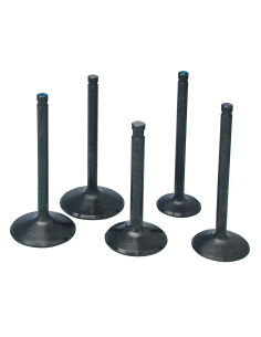 KPMI BD intake valve 1.900