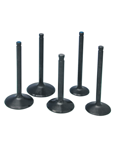 St.steel valve exh. XL70-85 oversize