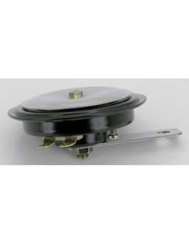 Custom Horn