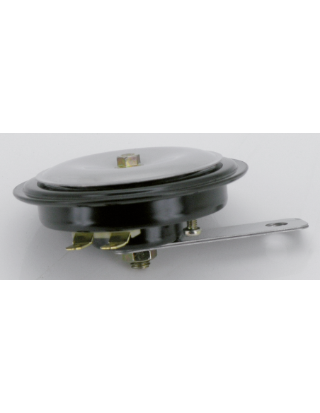 Custom Horn