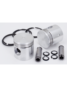 Pistons w/hasting rings 45CI+.02 Set/2