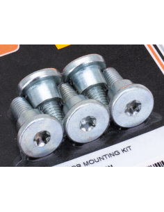 Fr Rotor Mount Screws FXD06-17 Zinc