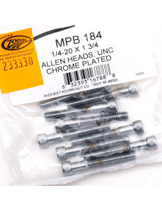 10pck Chrome allen screws 1/4-20x1-3/4