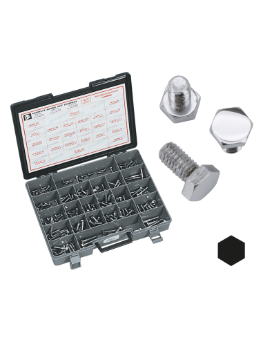 10pck Chrome hex head screws 3/8-24x1-1/