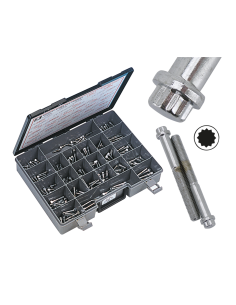 10pck 12-point bolts,5/16-18 x 3/4 ,