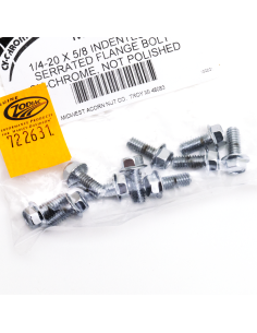 10Pck Ind. Hex Serr. Flange 1/4-20x5/8