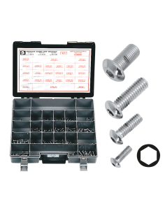 10pck 1/4-20x1/2 chrome sckt button head