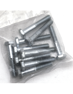 GZP 10pck hex bolt 1/4-20x1-1/2  zinc