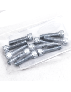 GZP 10pck allen bolt 1/4-20x1  zinc