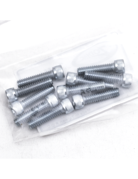 GZP 10pck allen bolt 1/4-20x1  zinc