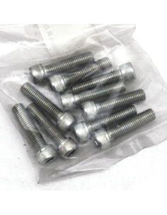 GZP 10pck allen bolt 1/4-28x1  zinc