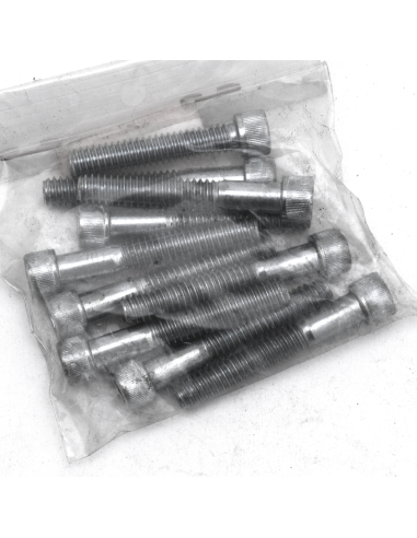 10pck allen bolt 1/4-20x1-5/8  UNC zinc