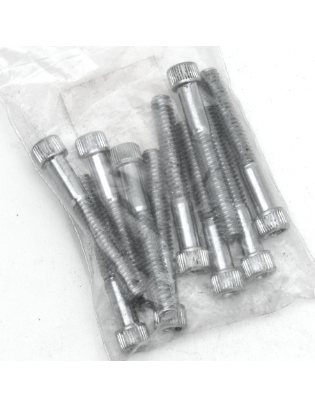 10pck allen bolt 1/4-20x1-7/8  UNC zinc