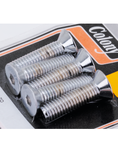 Disc Rotor Allen Screws FLT82-85 Chr