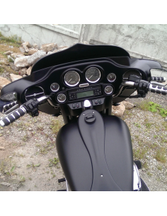 Seven Sins windshield f/96-13 Batwing