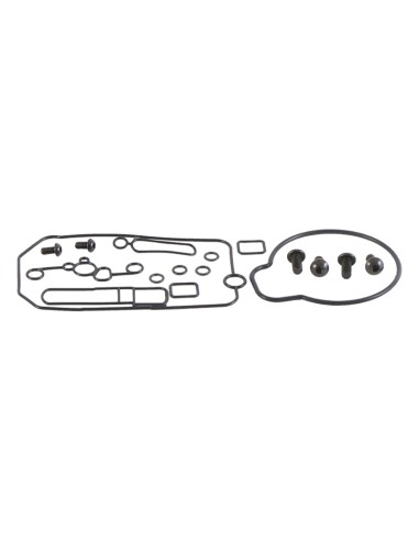 ALL BALLS Carburateur revisieset