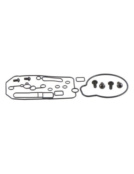 ALL BALLS Carburateur revisieset