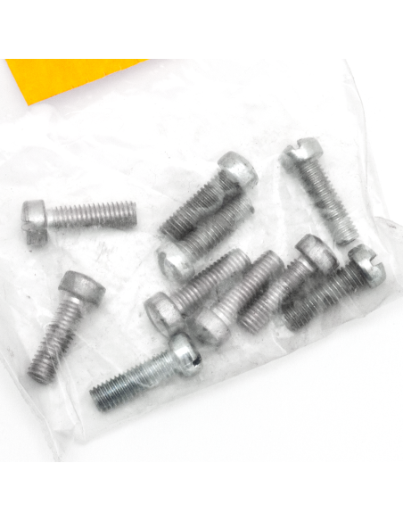 10pck Fillisterhead screw 10-32x5/8, WhP